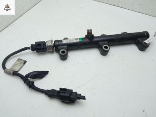 топливная рампа Kia Carnival VQ 2007, 2.9 л., дизель, МКПП, чёрный, минивэн, 315004X400