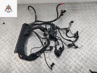 проводка двигателя BMW 3 серия E36 [рестайлинг] 1999, 1.9 л., бензин, МКПП, зелёный, хетчбэк 3 дв., 1438659