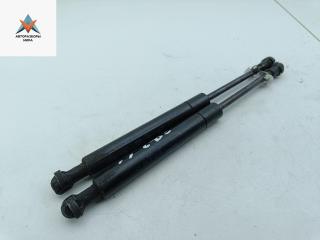амортизатор капота BMW X5 E53 [рестайлинг] 2003, внедорожник 5 дв., 8402551