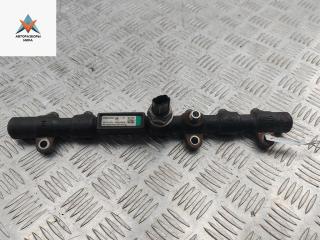 топливная рампа SsangYong Rodius 1 поколение [рестайлинг] 2007, 2.7 л., дизель, АКПП, чёрный, минивэн, 6650700495, 0621964154