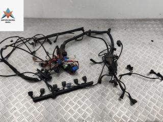 проводка двигателя BMW 5 серия E39 [рестайлинг] 2000, 2.8 л., бензин, АКПП, чёрный, универсал, 1439189, 7503804