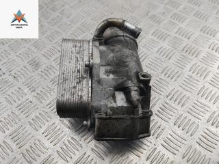 корпус масляного фильтра SsangYong Rodius 1 поколение [рестайлинг] 2007, 2.7 л., дизель, АКПП, минивэн, A6641840302