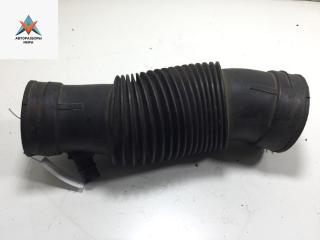 гофра инжектора Lancia Phedra 1 поколение 2004, 3.0 л., бензин, АКПП, минивэн, 9626160780