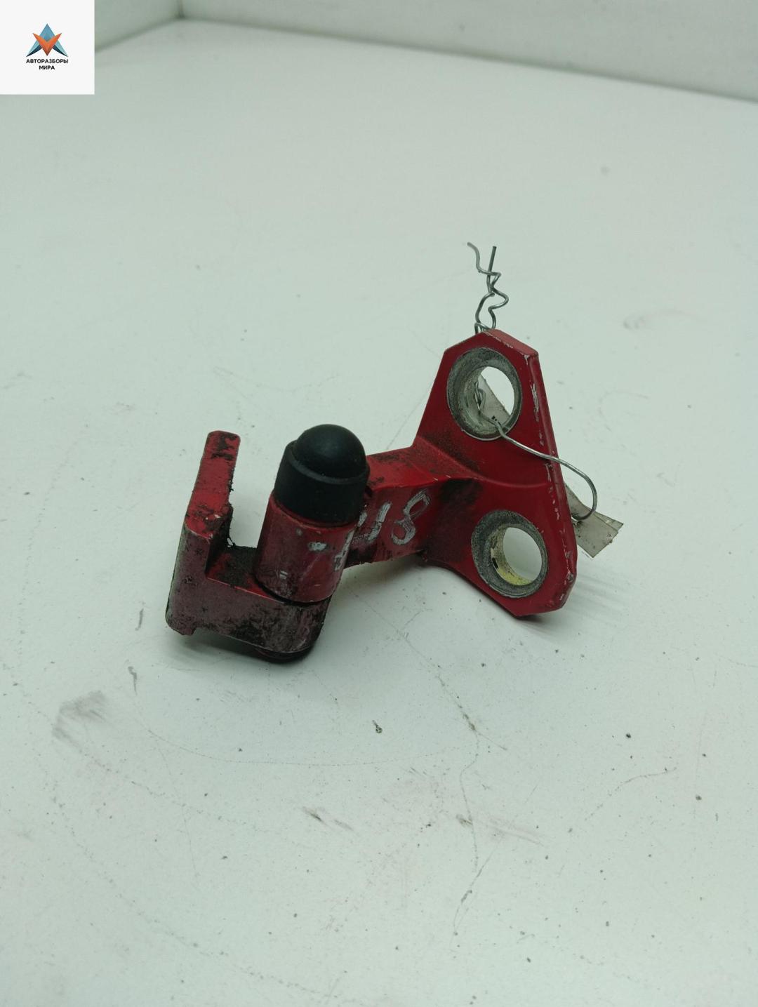 петля двери Volkswagen Passat B6 2006, красный, универсал - фото №1