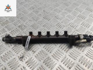 топливная рампа Opel Insignia 1 поколение (A) [рестайлинг] 2016, 1.6 л., дизель, МКПП, серый, универсал, 55490702