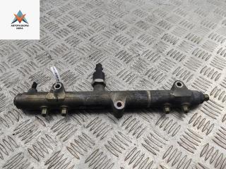 топливная рампа Chrysler Voyager 4 поколение [рестайлинг] 2004, 2.8 л., дизель, АКПП, серый, минивэн, 0445214041