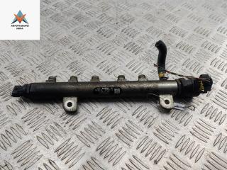 топливная рампа Opel Signum C [рестайлинг] 2005, 1.9 л., дизель, МКПП, чёрный, хетчбэк 5 дв., 0445214056, 5520066