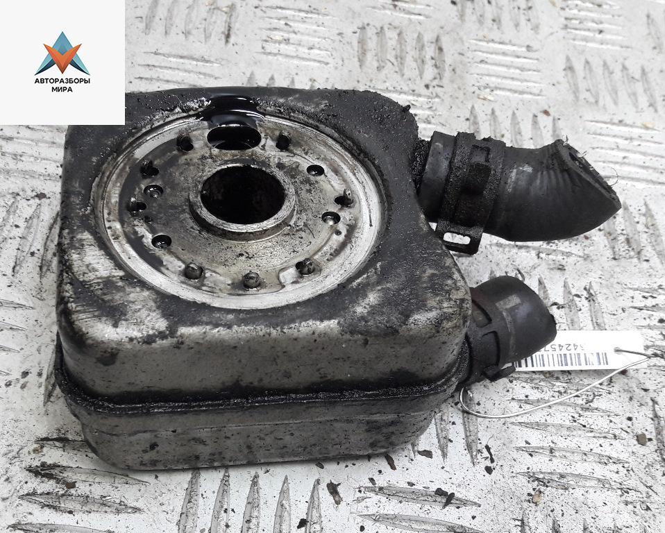 радиатор масляный Volkswagen Golf 5 поколение 2005, 1.9 л., дизель, МКПП, серый, хетчбэк 3 дв., 028117021L, BKC - фото №1