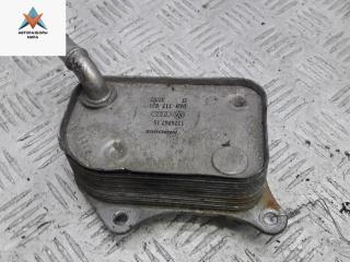 радиатор масляный Volkswagen Passat B5 [рестайлинг] 2002, 2.0 л., бензин, МКПП, серый, универсал, 06B117021, ALT