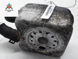 радиатор масляный Volkswagen Golf 5 поколение 2005, 1.9 л., дизель, МКПП, хетчбэк 5 дв.