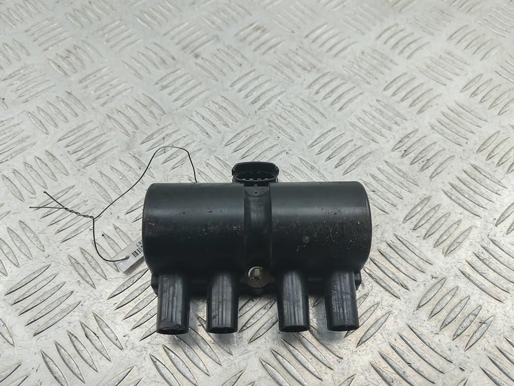 катушка зажигания Opel Astra G 2002, 1.6 л., бензин, МКПП, белый, универсал, DELPHI-CE10001