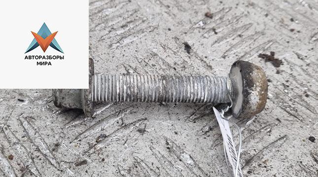 Болт крепления Volkswagen Passat B6 2005, 1.6 л., бензин, МКПП, синий, универсал - фото №1