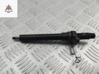 форсунка Peugeot 508 1 поколение 2011, 2.0 л., дизель, МКПП, чёрный, универсал, EJBR06001D, 9688438580