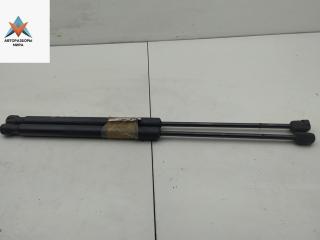 амортизатор крышки багажника (3-5 двери) Opel Vectra C [рестайлинг] 2007, 1.9 л., дизель, МКПП, серый, хетчбэк 5 дв., 9180255