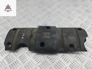 декоративная крышка двигателя Peugeot 307 1 поколение 2003, 1.6 л., бензин, МКПП, синий, универсал, 9638602180