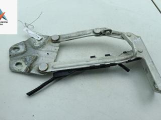 петля капота правая Volkswagen Caddy 3 поколение 2005, белый, фургон, 1T0823302