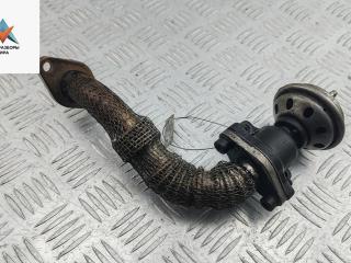 клапан EGR Volkswagen Passat B5 1999, 1.9 л., дизель, МКПП, синий, универсал, 028131501L