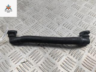 патрубок (трубопровод, шланг) Volkswagen Golf 5 поколение 2004, 1.4 л., бензин, МКПП, чёрный, хетчбэк 3 дв., 036103493CP