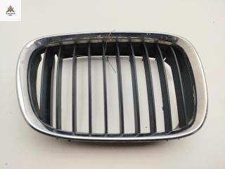 решетка радиатора BMW 5 серия E39 1998, синий, универсал, 8159312