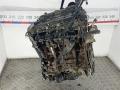 двигатель Ford Transit 8 поколение 2013, 2.2 л., дизель, МКПП, микроавтобус, DRFB, DRFA, DRFC, DRFD, DRFE - фото №2