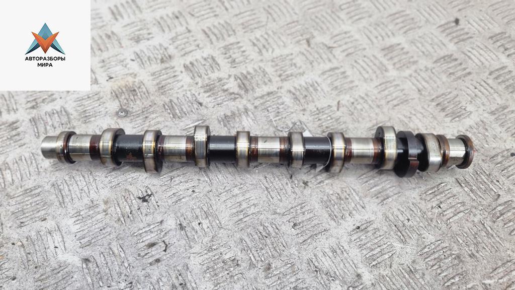 распредвал Volkswagen Touran 1 поколение 2005, 1.6 л., бензин, МКПП, серый, минивэн - фото №1