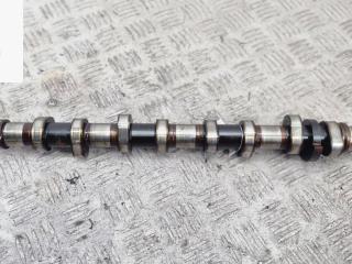 распредвал Volkswagen Touran 1 поколение 2005, 1.6 л., бензин, МКПП, серый, минивэн