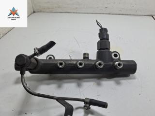 топливная рампа Opel Meriva 1 поколение (A) [рестайлинг] 2007, 1.7 л., дизель, МКПП, синий, минивэн