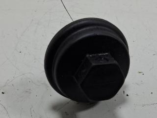 пробка маслозаливная Volkswagen Passat B5 1999, 1.9 л., дизель, МКПП, синий, универсал, 038117061