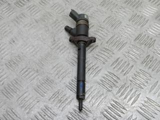 форсунка Ford Focus 2 поколение [рестайлинг] 2009, 1.6 л., TDCi, дизель, МКПП, хетчбэк 5 дв., 0445110259