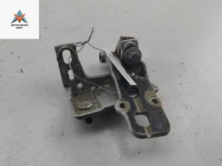 петля крышки багажника BMW 3 серия E46 [рестайлинг] 2001, серый, универсал, 8215532