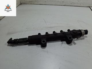 топливная рампа Ford Transit 7 поколение 2008, 2.2 л., дизель, МКПП, красный, микроавтобус