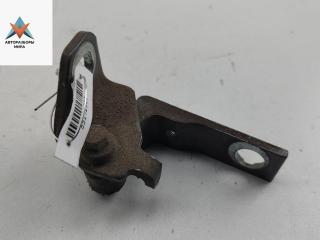 петля двери Ford Focus 3 поколение [рестайлинг] 2014, серый, универсал