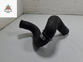 патрубок радиатора Citroen Berlingo 1 поколение (M59) [рестайлинг] 2007, 1.6 л., бензин