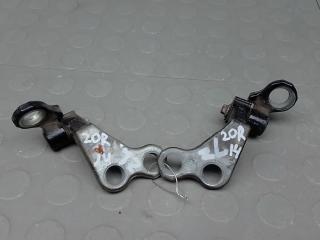 петля двери Ford Focus 3 поколение 2011, 1.6 л., бензин, МКПП, хетчбэк 5 дв.