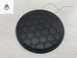 Сетка (решетка) динамика Volkswagen Passat B5 [рестайлинг] 2002, 1.9 л., дизель, МКПП, синий, универсал, 3B0868149