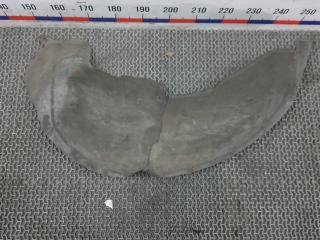 Подкрылок задний правый Renault Kadjar 1 поколение 2016, 1.5 л., дизель, МКПП, внедорожник 5 дв.