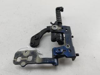 петля крышки багажника BMW 3 E46 2003, синий, универсал, 8215531, 8254015
