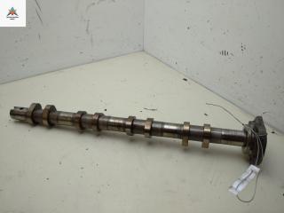 распредвал Ford Transit 8 поколение 2013, 2.2 л., дизель, МКПП, синий, микроавтобус, BK2Q6A273AB