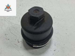 крышка масляного стакана Mercedes-Benz A-Класс W169 2005, 2.0 л., бензин, АКПП, красный, хетчбэк 5 дв., 0010684102185