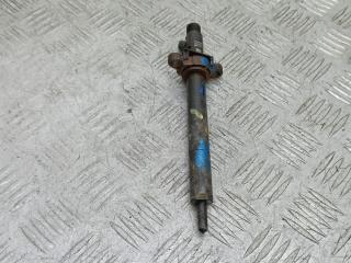 форсунка Peugeot 407 1 поколение 2007, 2.0 л., HDi, дизель, МКПП, седан, 9656389980