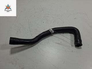 патрубок (трубопровод, шланг) Citroen Xsara 1 поколение [рестайлинг] 2000, 1.8 л., бензин, МКПП, красный, хетчбэк 5 дв., B215530