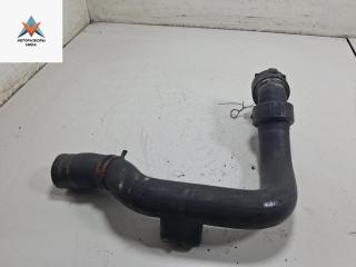 патрубок радиатора Audi A6 4B/C5 [рестайлинг] 2002, 1.9 л., дизель, 8D0121101AD