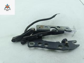 петля капота правая BMW 5 серия E39 [рестайлинг] 2003, чёрный, универсал, 41618203276