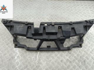 Рамка радиатора Renault Scenic 2 поколение 2004, 1.5 л., дизель, МКПП, красный, минивэн, 8200140174