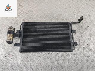 радиатор кондиционера Skoda Octavia mk1 (A4 1U) 2003, 2.0 л., бензин, МКПП, синий, хетчбэк 5 дв., 1J0820411L