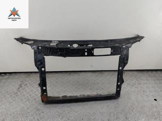 Рамка радиатора Skoda Roomster 1 поколение 2008, 1.9 л., дизель, МКПП, синий, фургон, 5J0806148