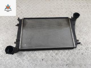радиатор интеркулера Volkswagen Passat B6 2008, 1.9 л., дизель, МКПП, красный, универсал, 3C0145803F
