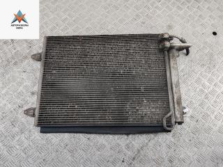 радиатор кондиционера Volkswagen Passat B6 2006, 2.0 л., бензин, МКПП, серый, седан