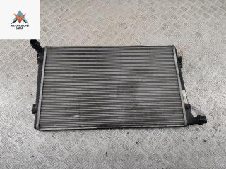 радиатор охлаждения Volkswagen Passat B6 2008, 1.9 л., дизель, МКПП, красный, универсал, 3C0121253S