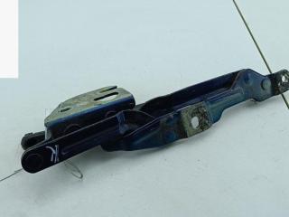 петля крышки багажника Volkswagen Bora 1 поколение 2000, синий, седан